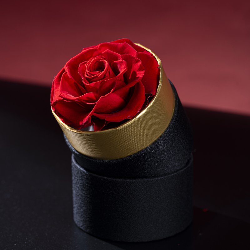 Preserved Roses in Flower Box Wedding Valentine's Day Christmas Father's Thanksgiving Everlasting Eternal Love Immortal Gifts