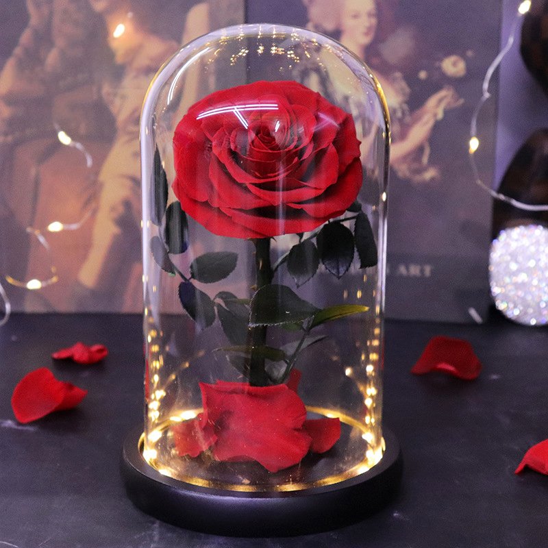 Factory Wholesale Long Lasting Immortal Flower Preserved Rose in Glass Dome with LED Light