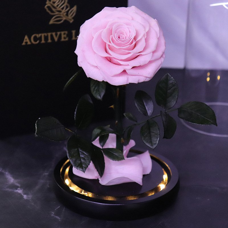 Factory Wholesale Long Lasting Immortal Flower Preserved Rose in Glass Dome with LED Light