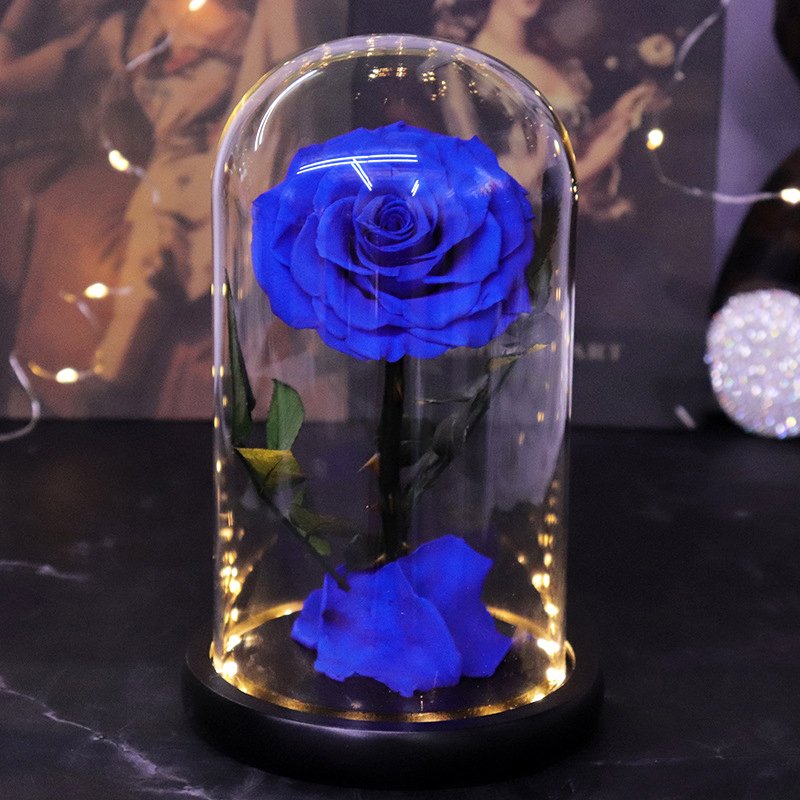 Factory Wholesale Long Lasting Immortal Flower Preserved Rose in Glass Dome with LED Light