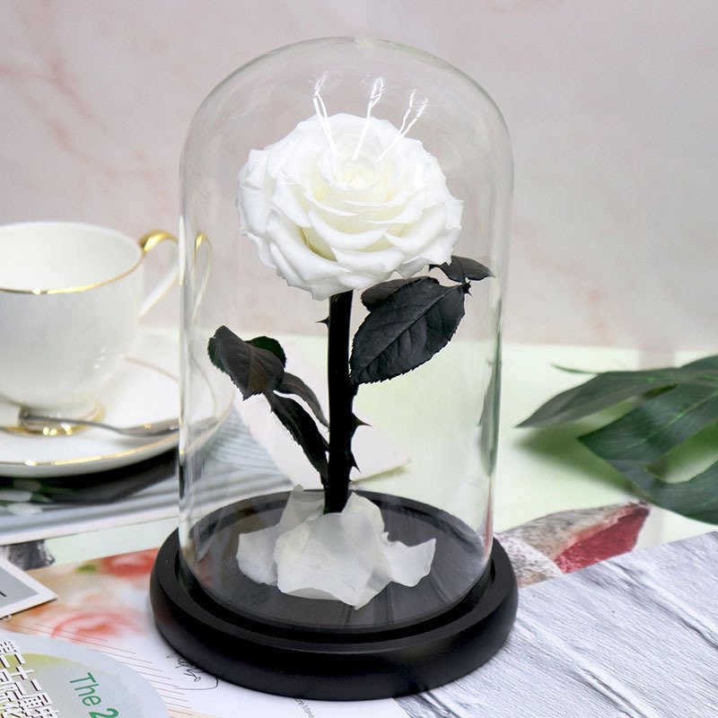 Factory Wholesale Long Lasting Immortal Flower Preserved Rose in Glass Dome with LED Light