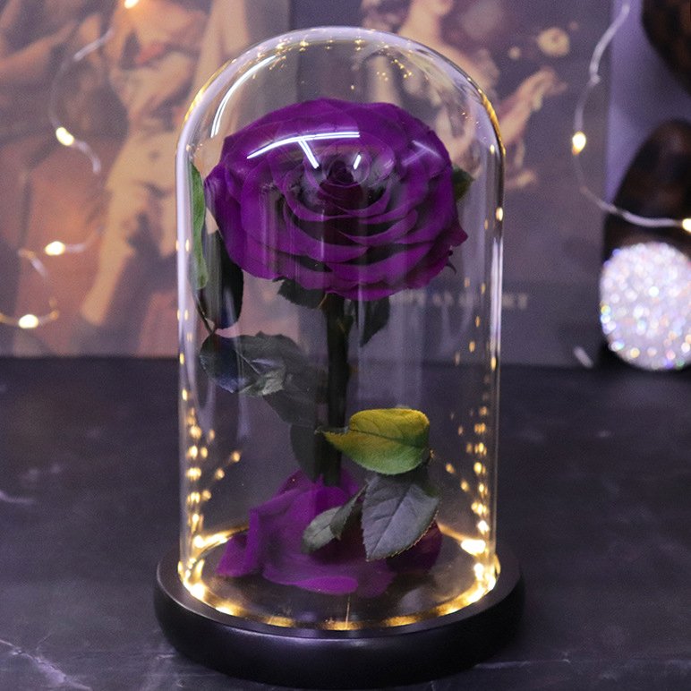 Factory Wholesale Long Lasting Immortal Flower Preserved Rose in Glass Dome with LED Light