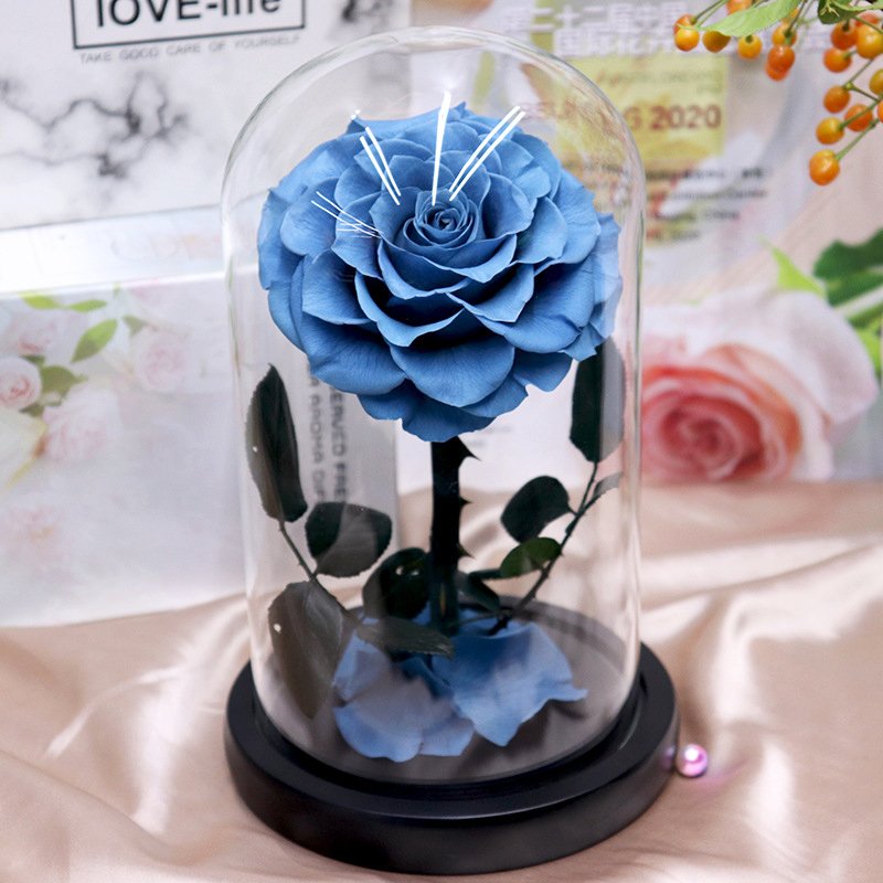 Factory Wholesale Long Lasting Immortal Flower Preserved Rose in Glass Dome with LED Light