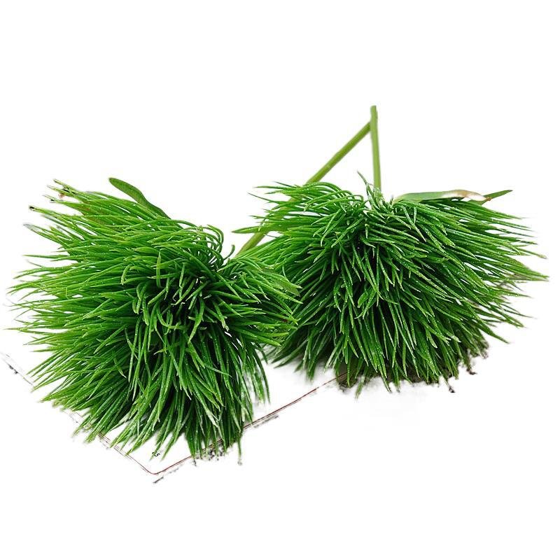 Tropical Leaves Decorations Green Artificial Plastic Green Palm Tree Leaf Green dianthus