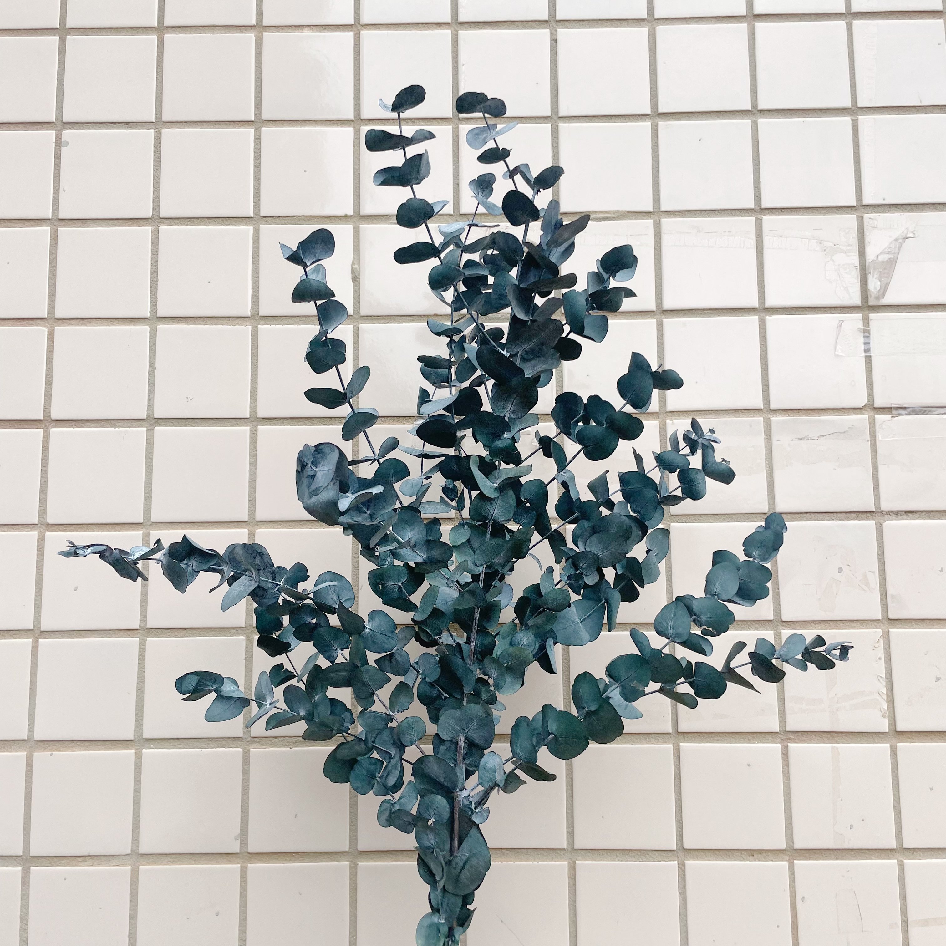 Many kinds of top Sale Wholesale Preserved Flowers Preserved eucalyptus leaves for Bouquet Event Decoration