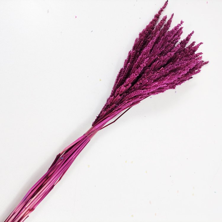 SumFlora Wedding Decoration Wholesale 30-50cm Natural Long Life Flowers preserved flower small wheat
