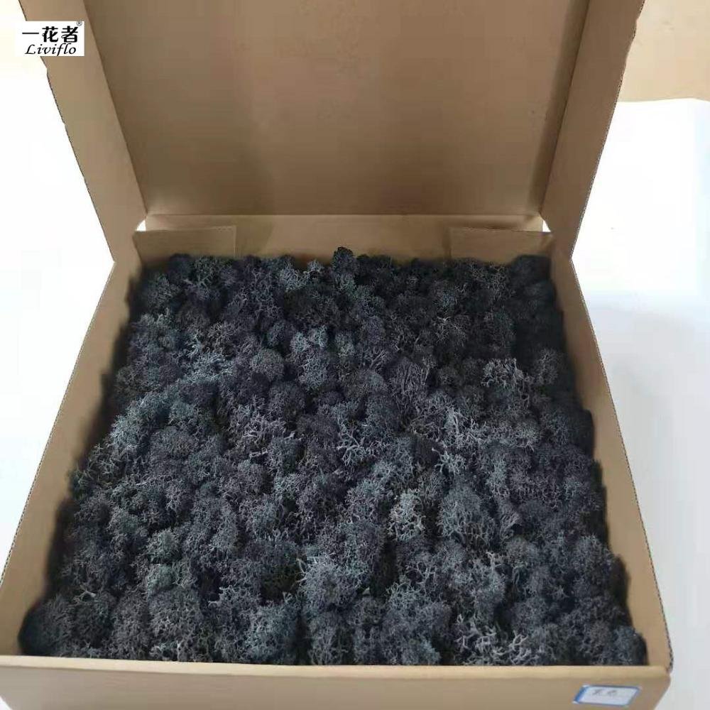 2019 Wholesale green color Stabilized preserved fresh moss grass real moss for wall decoration