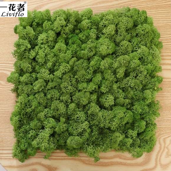 2019 Wholesale green color Stabilized preserved fresh moss grass real moss for wall decoration