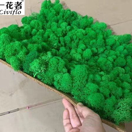2019 Wholesale green color Stabilized preserved fresh moss grass real moss for wall decoration