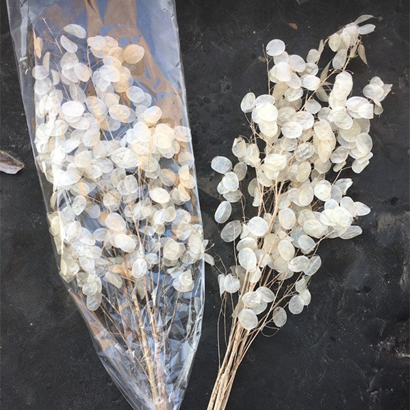 YAYUN A-3048 Top Grade Home Decoration Flowers Preserved Flower Lunaria Annua Bouquet