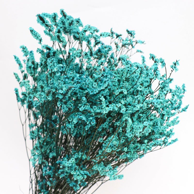 2022 Hot Sale Real Natural Fresh Material Preserved Caspea Real Touch Flower for Home Decor Wedding Arrangement Flower