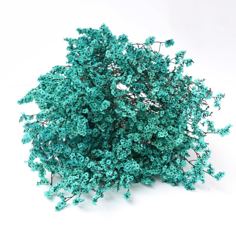 2022 Hot Sale Real Natural Fresh Material Preserved Caspea Real Touch Flower for Home Decor Wedding Arrangement Flower
