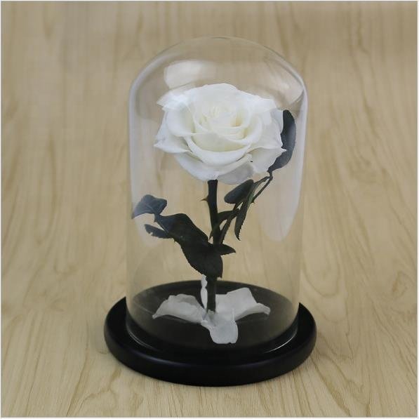 2019 Beauty Beast Eternal Rose D12cm H20cm Decorative Flower Enchanted Preserved Forever Rose in Glass Dome For Valentines Day