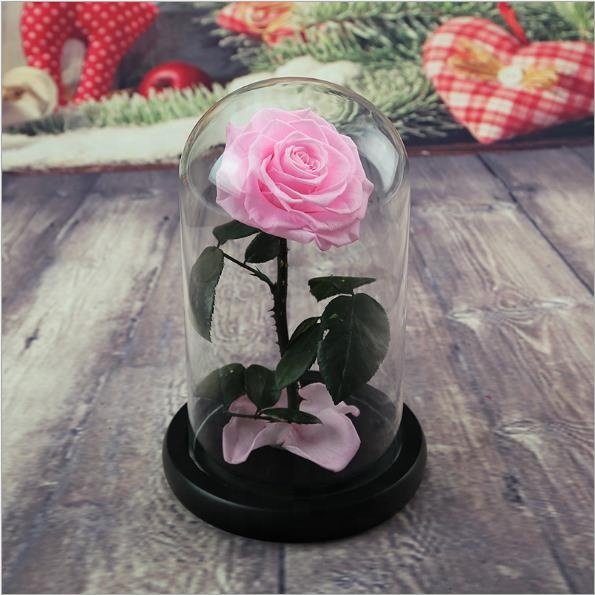2019 Beauty Beast Eternal Rose D12cm H20cm Decorative Flower Enchanted Preserved Forever Rose in Glass Dome For Valentines Day