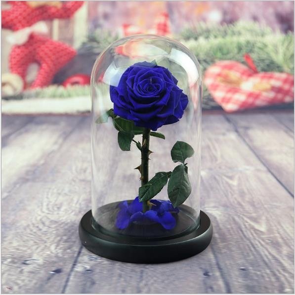 2019 Beauty Beast Eternal Rose D12cm H20cm Decorative Flower Enchanted Preserved Forever Rose in Glass Dome For Valentines Day