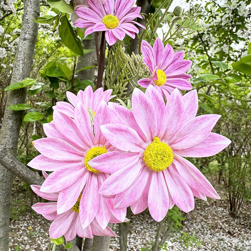 Artificial Flowers Summer Chrysanthemum High Quality Real Touch Artificial Daisy Wedding Decorations