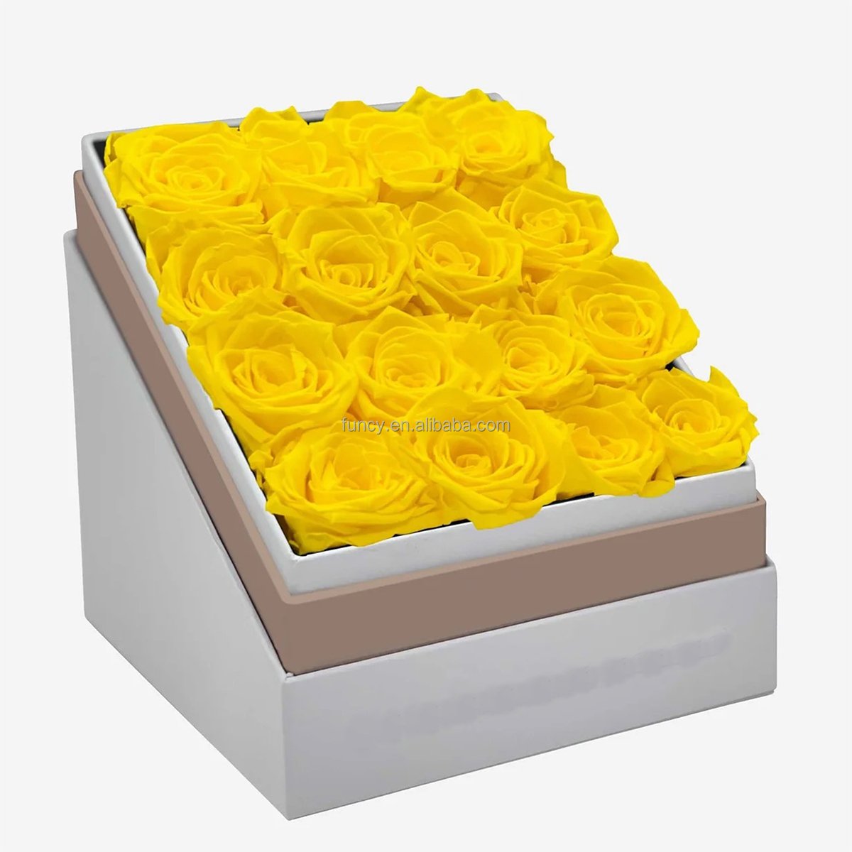 Valentines Day Gift 2024 Long lasting Stabilized Eternal Forever Enchanted Immortal Boxed Rose Preserved Flower