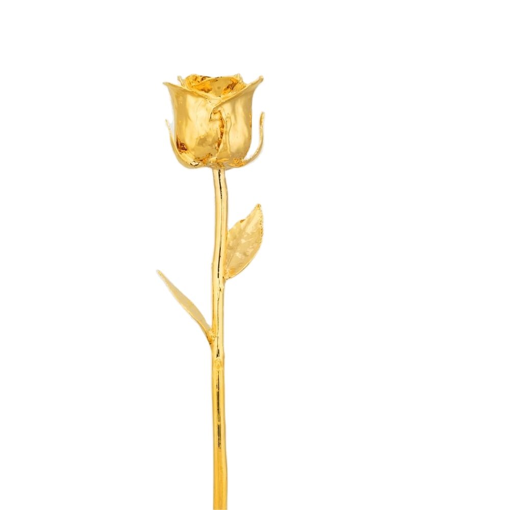 Romantic Gift For Her/Real Rose Dipped in 24k Gold Handmade Preserved Rose Gold Flower Dipped Real Natural Gold Plated 24k