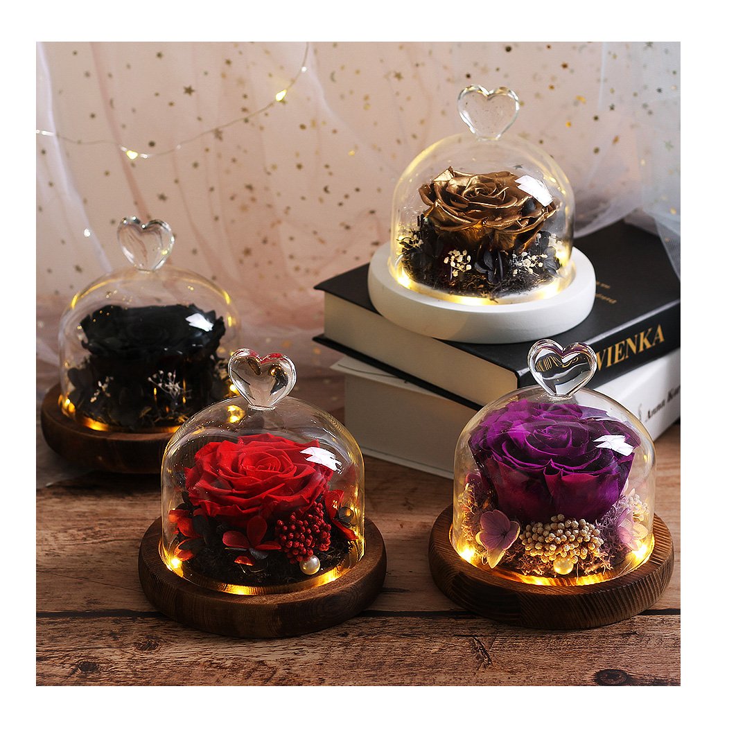 Charming Preserved Rose in Glass Dome Eternal Preserved Flowers Gift Box for Christmas Graduation Decorations