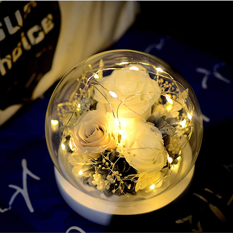 Charming Preserved Rose in Glass Dome Eternal Preserved Flowers Gift Box for Christmas Graduation Decorations