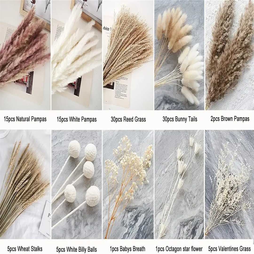 Fluffy Pampas Bohemian Style Perfect Wedding Home Decor Dried Flower Natural Dried Small Pampas Grass