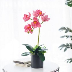 set-2