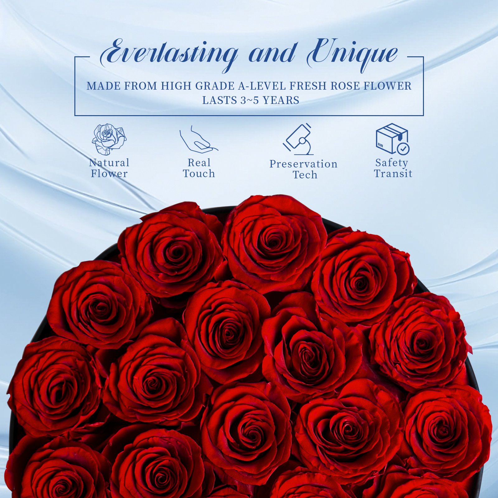 MCfloral New Product Ideas 2024 Floral Supplies Interior Decoration Christmas Forever Eternal Rose Preserved Flower Rosa Eterna