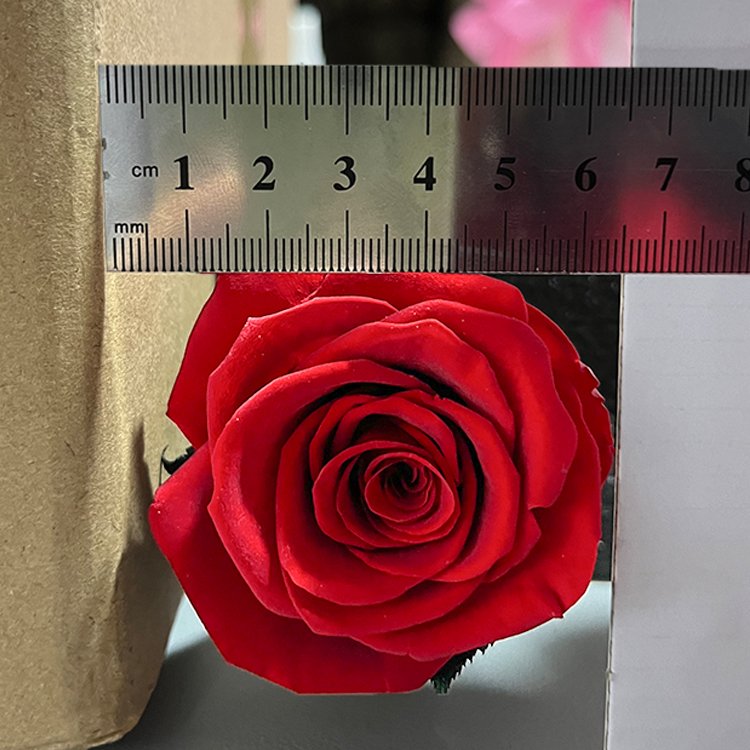Lovebay Factory Direct Best Quality Preserved Flowers Handmade Real Everlasting immortal Single Preserved Rose with Long Stem