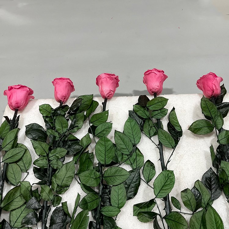 Lovebay Factory Direct Best Quality Preserved Flowers Handmade Real Everlasting immortal Single Preserved Rose with Long Stem
