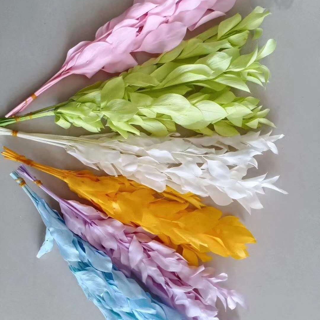Natural Colorful Preserve Flower Ruscus Leaves Long Lasting Flowers Preserved Orange Leaf for Dry Flower Bouquet