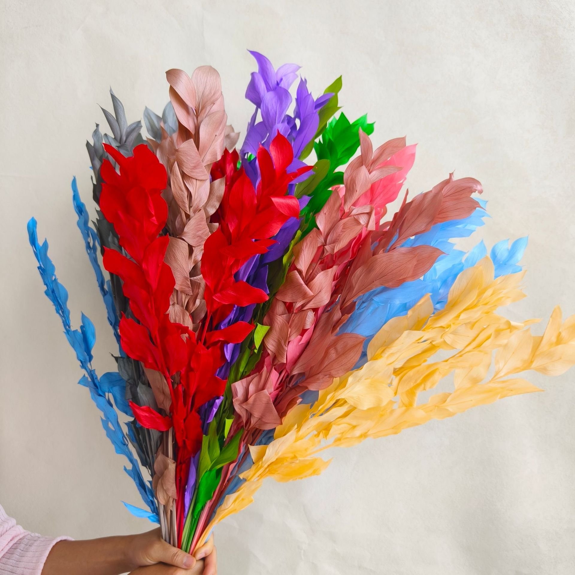 Natural Colorful Preserve Flower Ruscus Leaves Long Lasting Flowers Preserved Orange Leaf for Dry Flower Bouquet