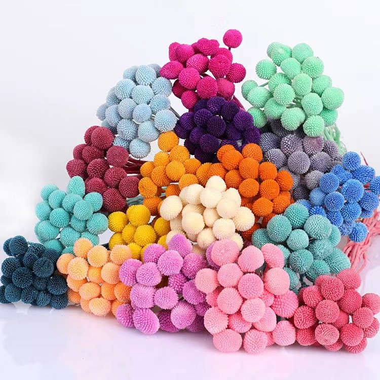 2024 Amazon The hot seller flowers dried flower preserved button flower for home/wedding/bouquet decoration