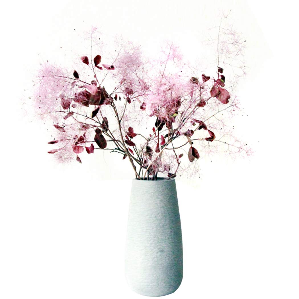 SumFlora New product ideas Wholesale Decoration souvenir flower luxury wedding gift preserved flower smoke bush