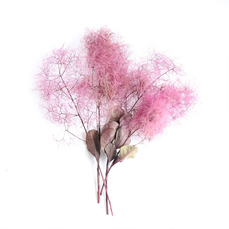 SumFlora New product ideas Wholesale Decoration souvenir flower luxury wedding gift preserved flower smoke bush