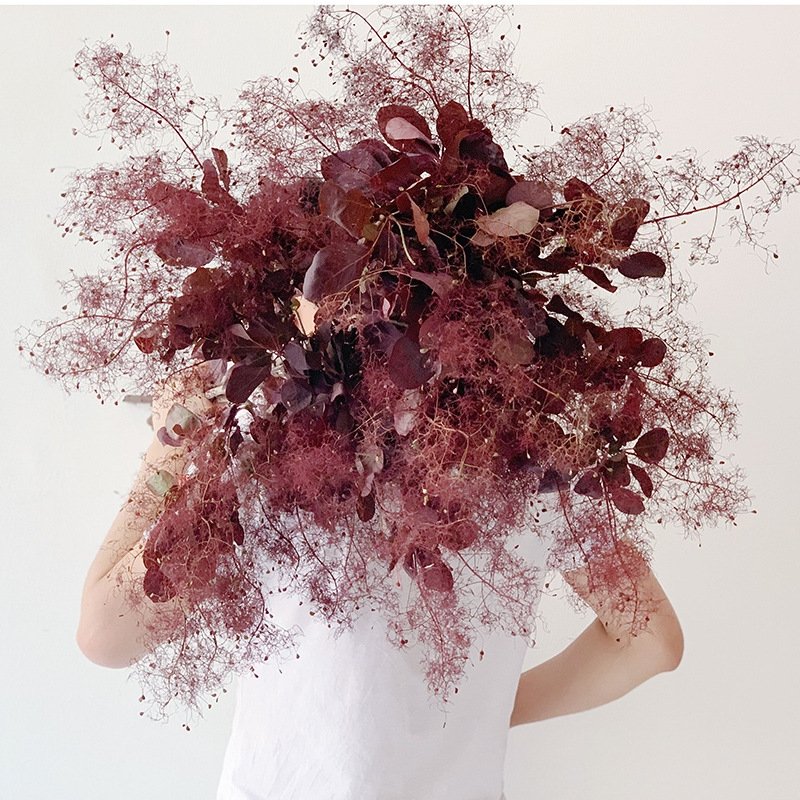 SumFlora New product ideas Wholesale Decoration souvenir flower luxury wedding gift preserved flower smoke bush