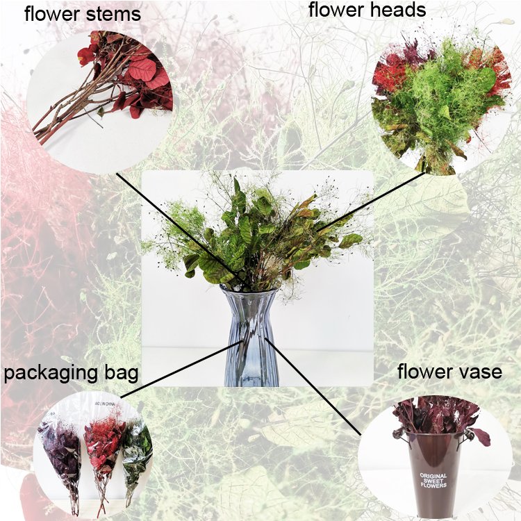 SumFlora New product ideas Wholesale Decoration souvenir flower luxury wedding gift preserved flower smoke bush