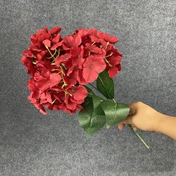 SKU-12