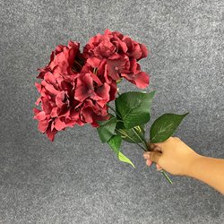 SKU-17