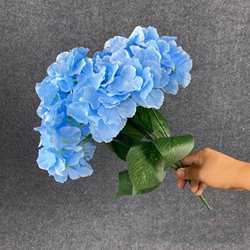 SKU-21
