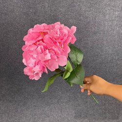 SKU-24