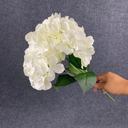 SKU-33