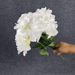 SKU-04