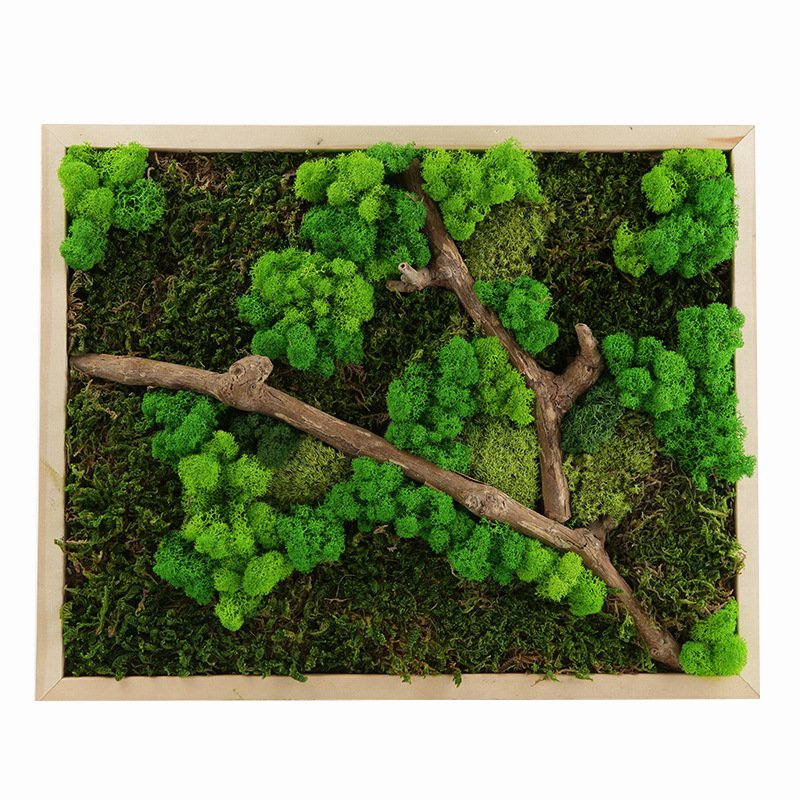 high quality A grade moss wall preserved lichen moss reindeer real natural preserved moss for DIY home decoration