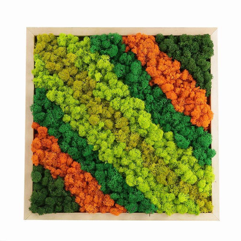 high quality A grade moss wall preserved lichen moss reindeer real natural preserved moss for DIY home decoration