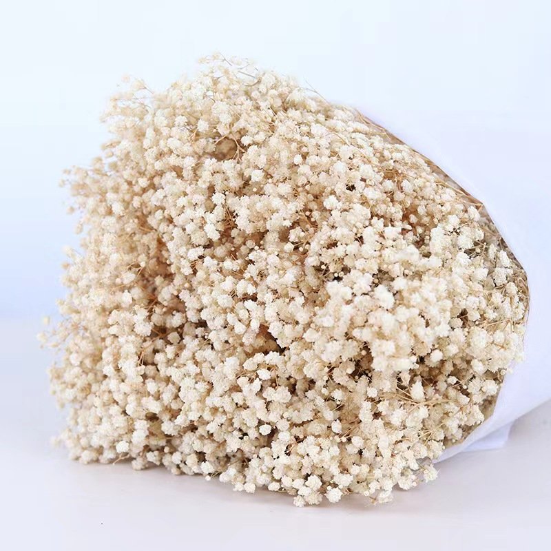 2024 Ins hot selling flowers Gypsophila wholesale preserved flower baby breath flower for home/wedding decoration for bouquet