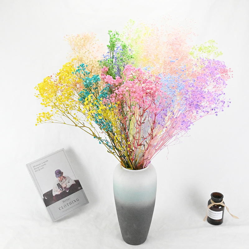 2024 Ins hot selling flowers Gypsophila wholesale preserved flower baby breath flower for home/wedding decoration for bouquet