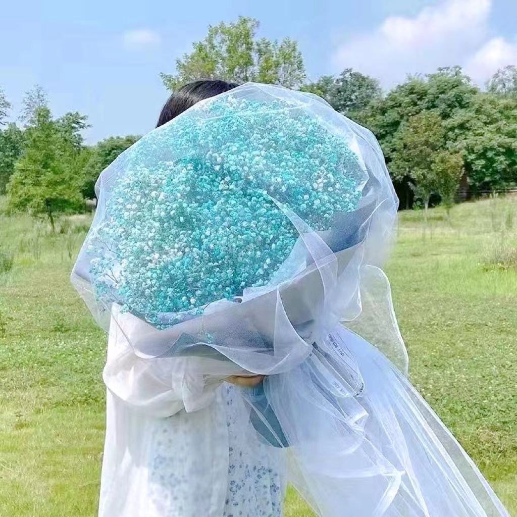 2024 Ins hot selling flowers Gypsophila wholesale preserved flower baby breath flower for home/wedding decoration for bouquet
