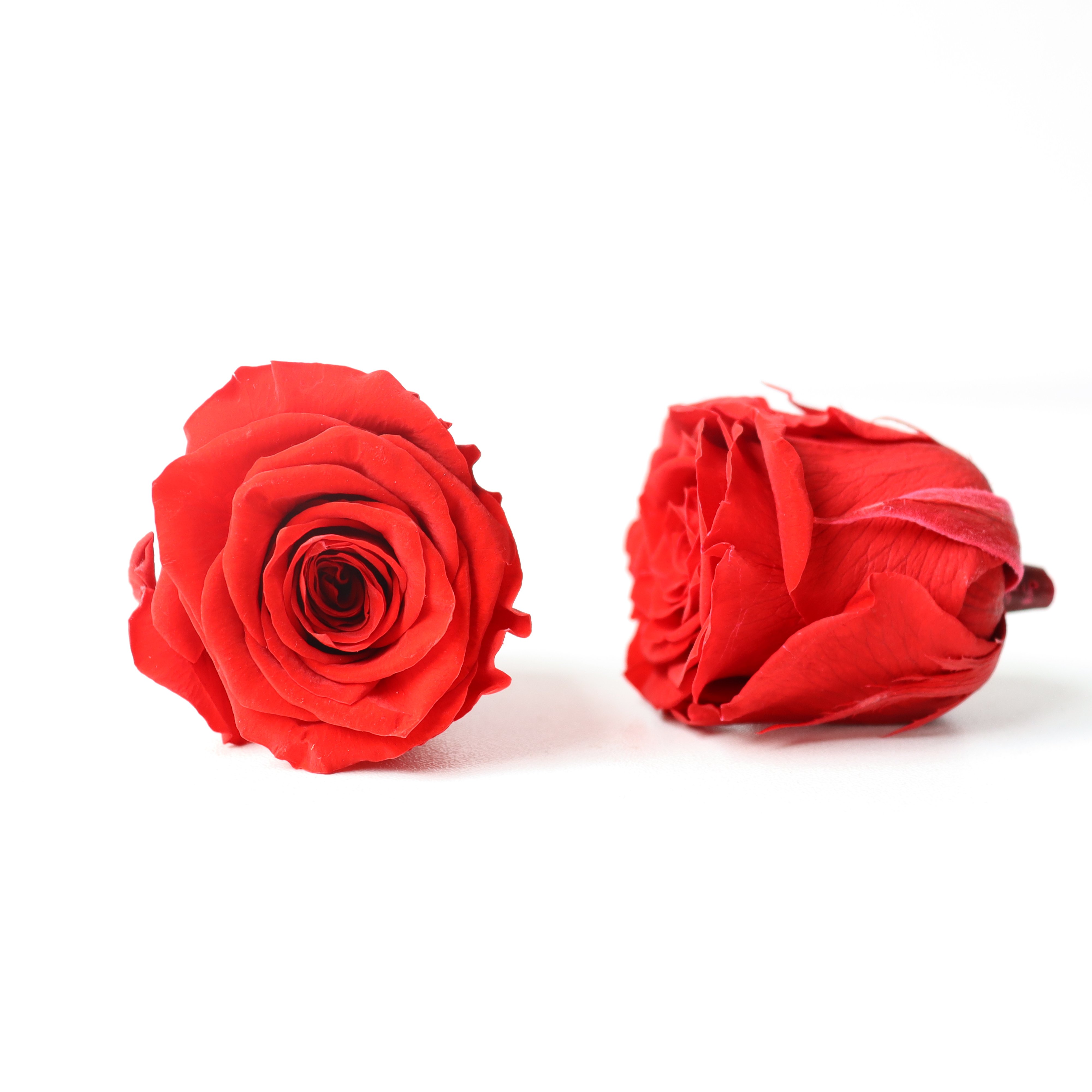 wholesale flowers rose eternal in box flower heads real touch forever long lasting decorative flowers preserved rose roses