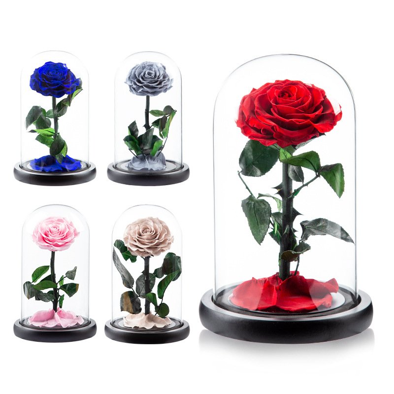 Beauty Beast Enchanted Bella Rose Preserved Flower in Glass Dome