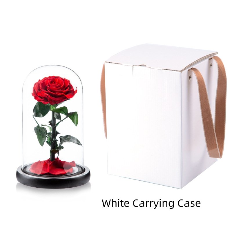 Beauty Beast Enchanted Bella Rose Preserved Flower in Glass Dome